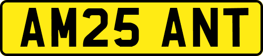 AM25ANT