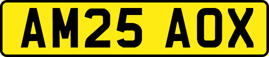 AM25AOX