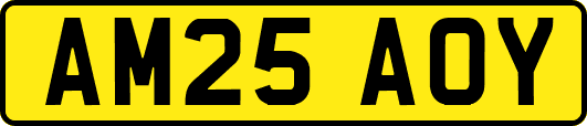 AM25AOY