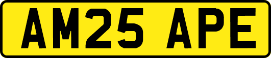 AM25APE