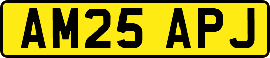 AM25APJ
