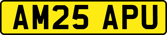 AM25APU