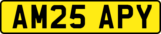 AM25APY