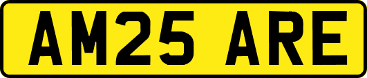 AM25ARE