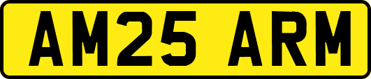 AM25ARM