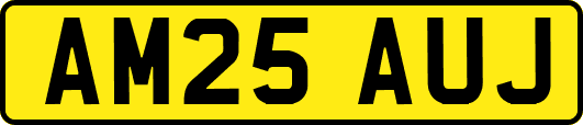 AM25AUJ