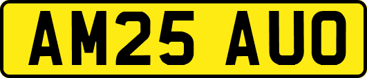 AM25AUO