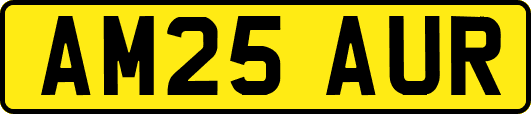 AM25AUR