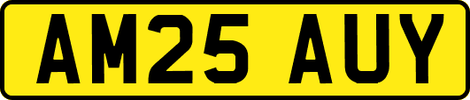 AM25AUY