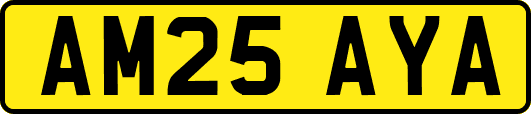 AM25AYA