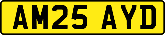 AM25AYD