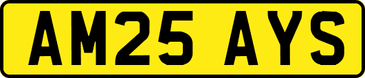 AM25AYS