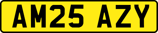 AM25AZY