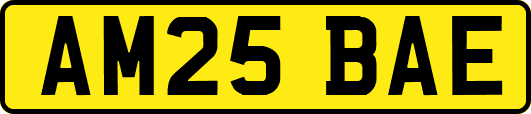 AM25BAE