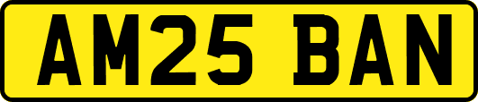 AM25BAN
