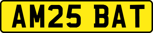 AM25BAT