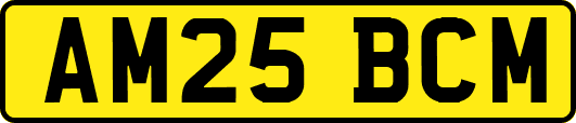 AM25BCM