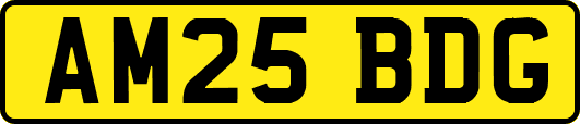 AM25BDG