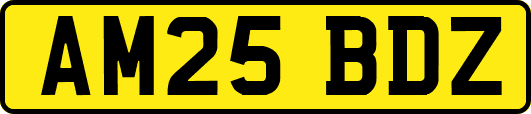AM25BDZ