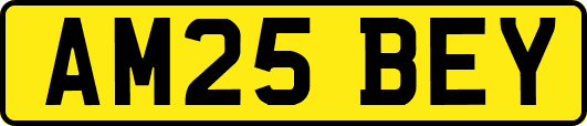 AM25BEY