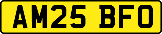 AM25BFO