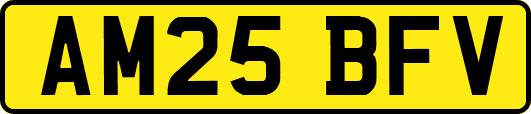AM25BFV