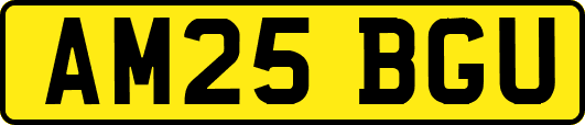 AM25BGU