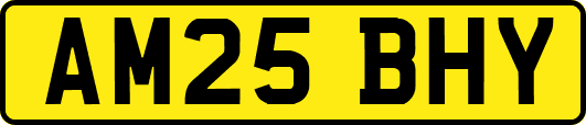 AM25BHY