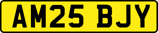 AM25BJY