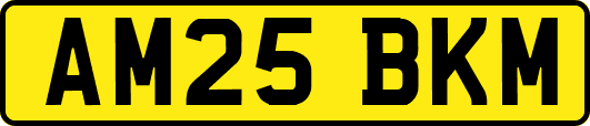 AM25BKM