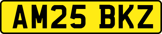 AM25BKZ