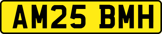 AM25BMH