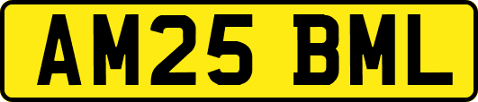 AM25BML
