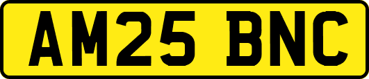 AM25BNC
