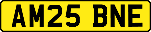 AM25BNE