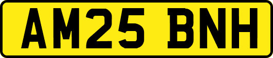 AM25BNH