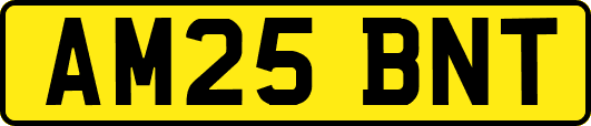 AM25BNT