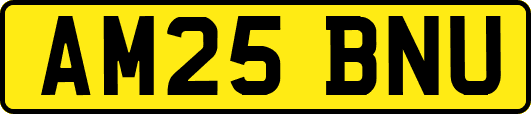 AM25BNU
