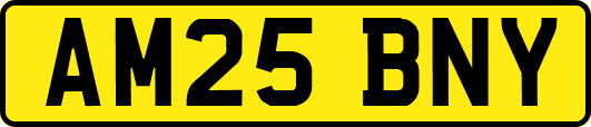 AM25BNY
