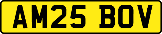 AM25BOV