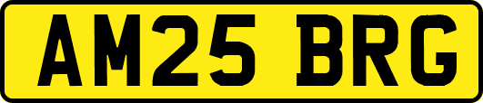 AM25BRG