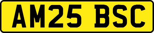AM25BSC