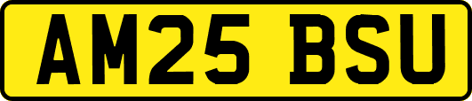 AM25BSU