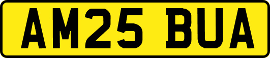 AM25BUA