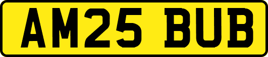 AM25BUB