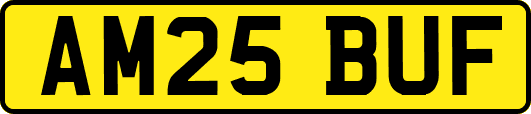 AM25BUF
