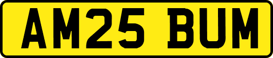 AM25BUM