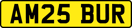 AM25BUR