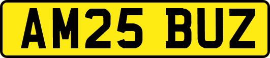 AM25BUZ