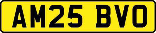 AM25BVO